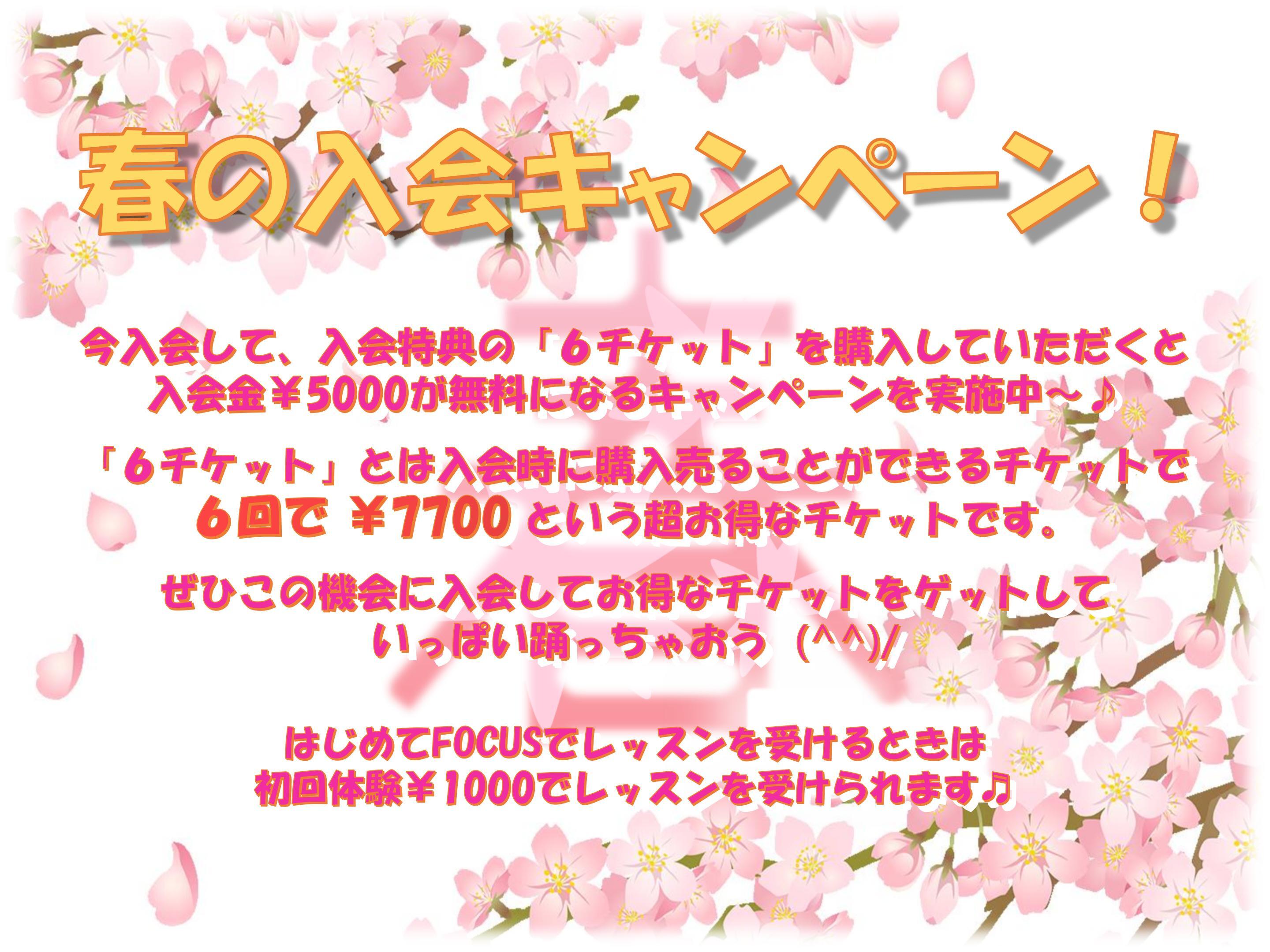 春のキャンペーン 24.03 01